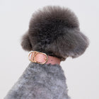 Luna Collar