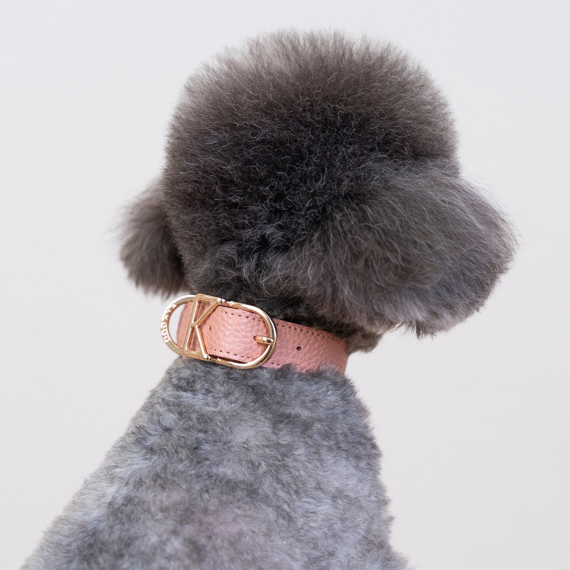 Luna Collar