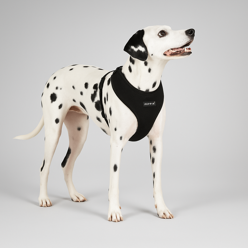 Soft Harness®