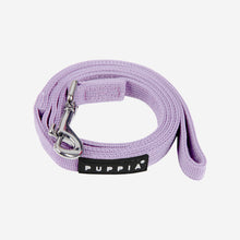 Two Tone Leash