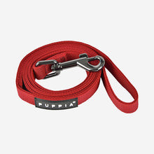Two Tone Leash