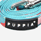 Alyssa Leash
