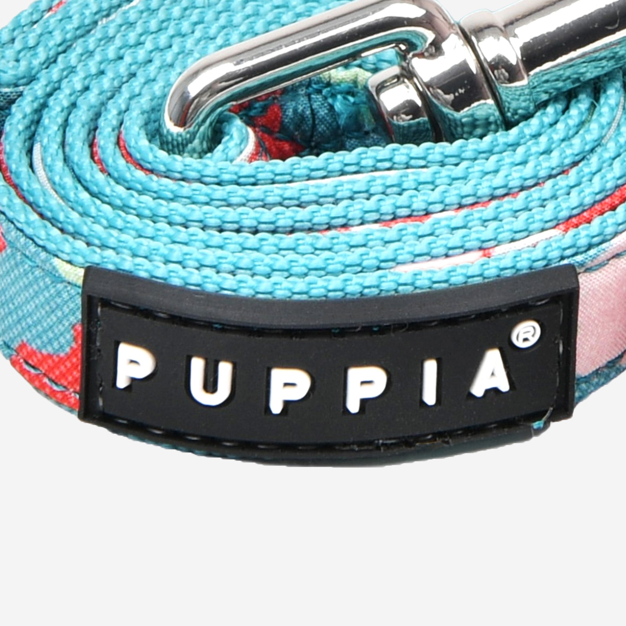 Alyssa Leash