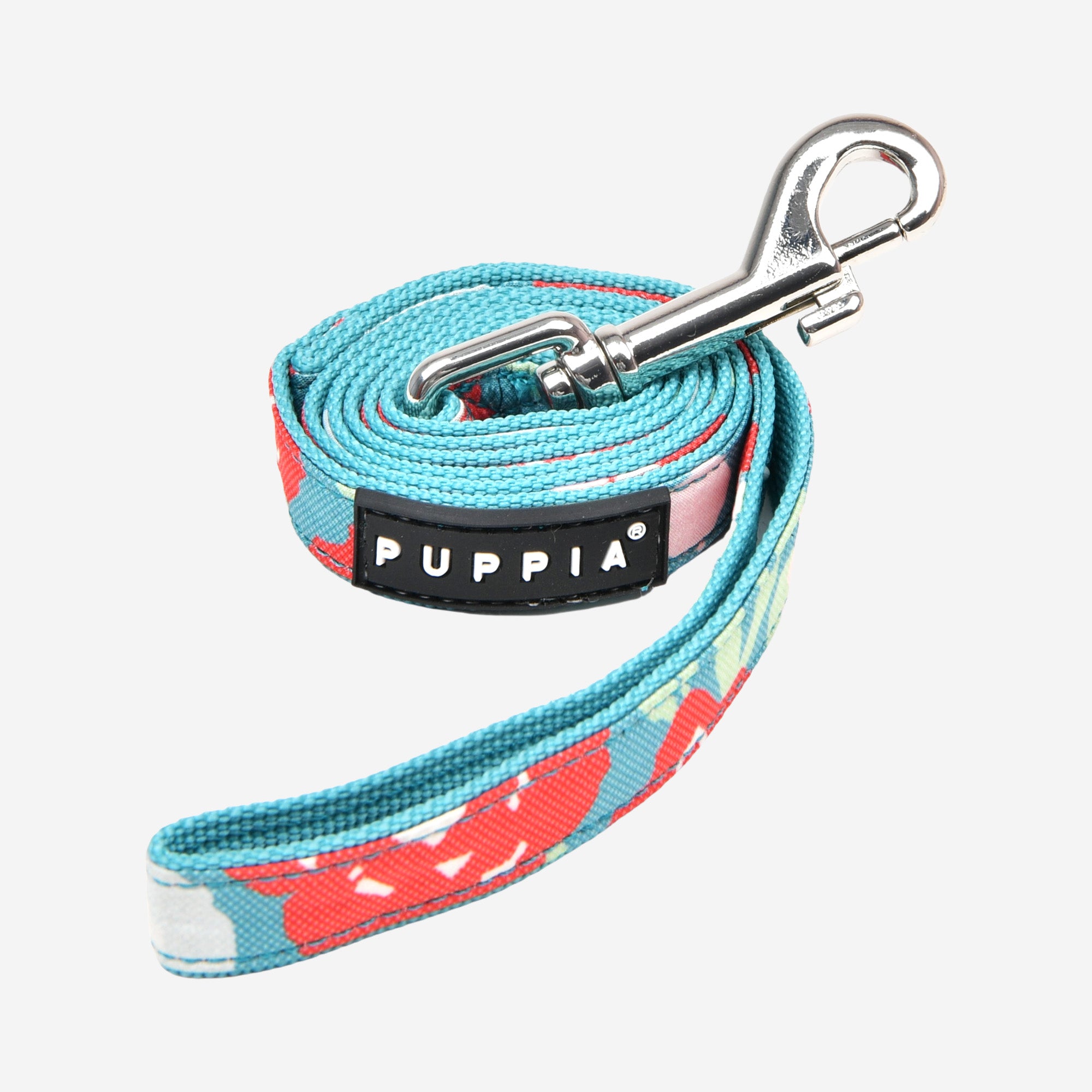 Alyssa Leash