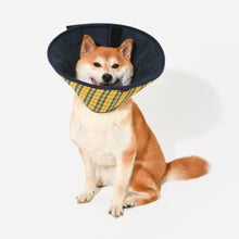 Charlie Recovery Collar