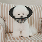 Charlie Recovery Collar