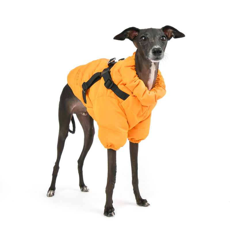 Ultra-Light Soft Jumper