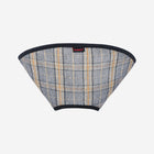 Dandy Recovery Collar