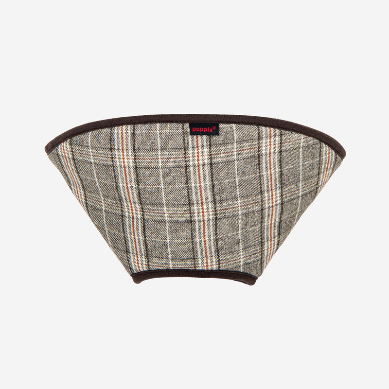 Dandy Recovery Collar