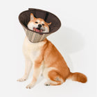 Dandy Recovery Collar