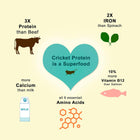 FabreChews Nutritional Snack - Green (Oral Care)