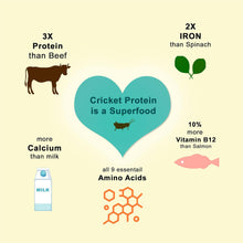 Fabrechew Hypoallergenic Dental Snack - Green (Oral Care)