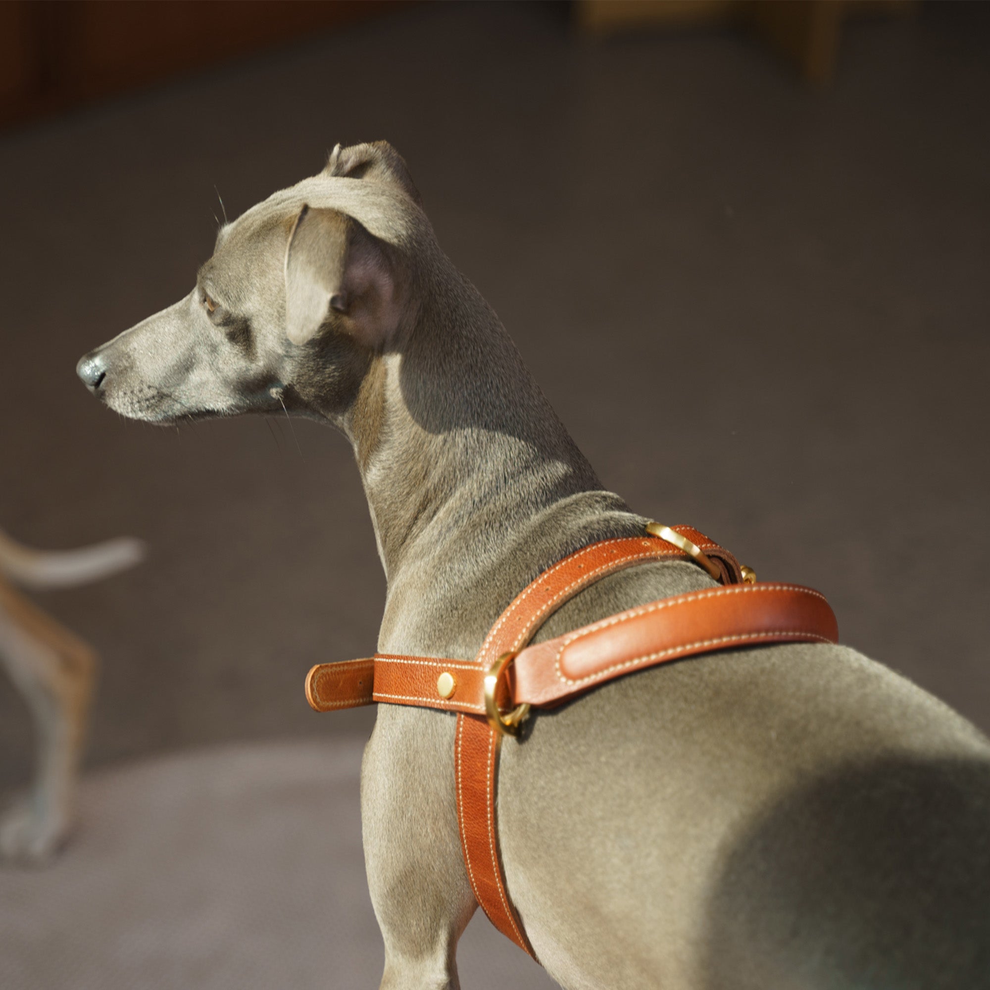 Handle Harness