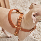 Handle Harness