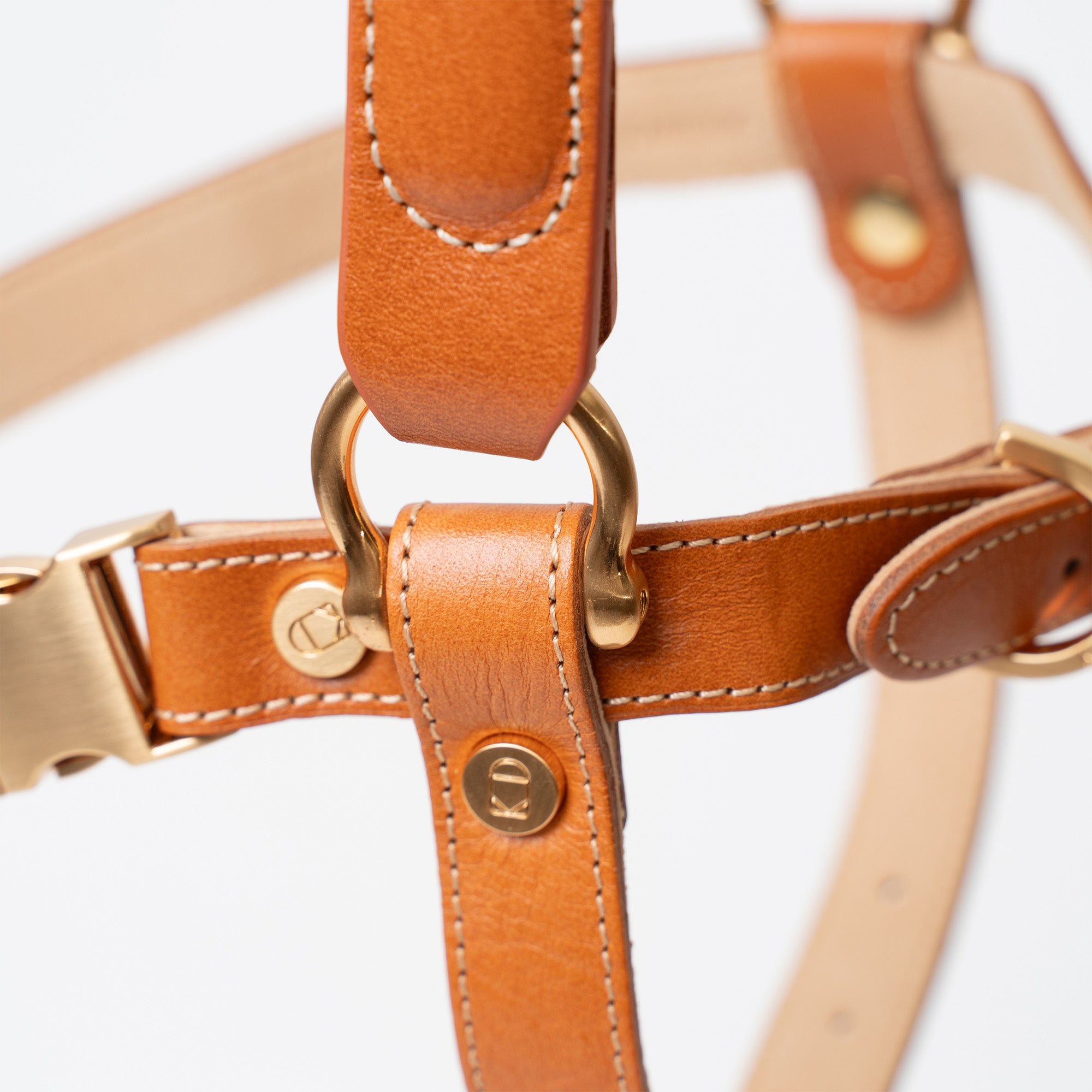 Handle Harness