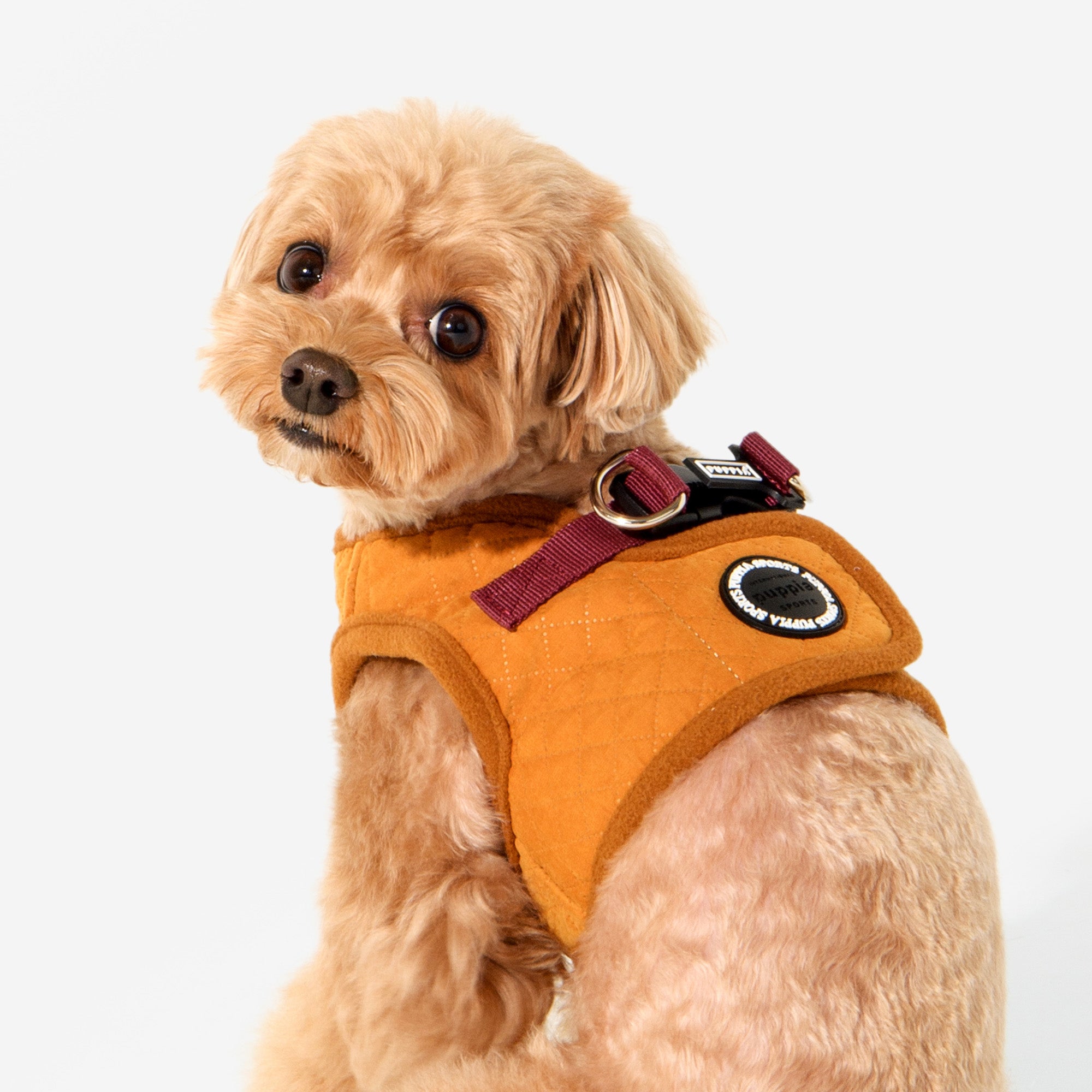 Irvin Vest