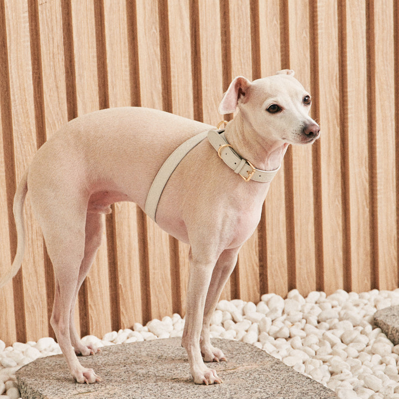 Luna Harness