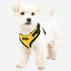 Ritefit Harness®