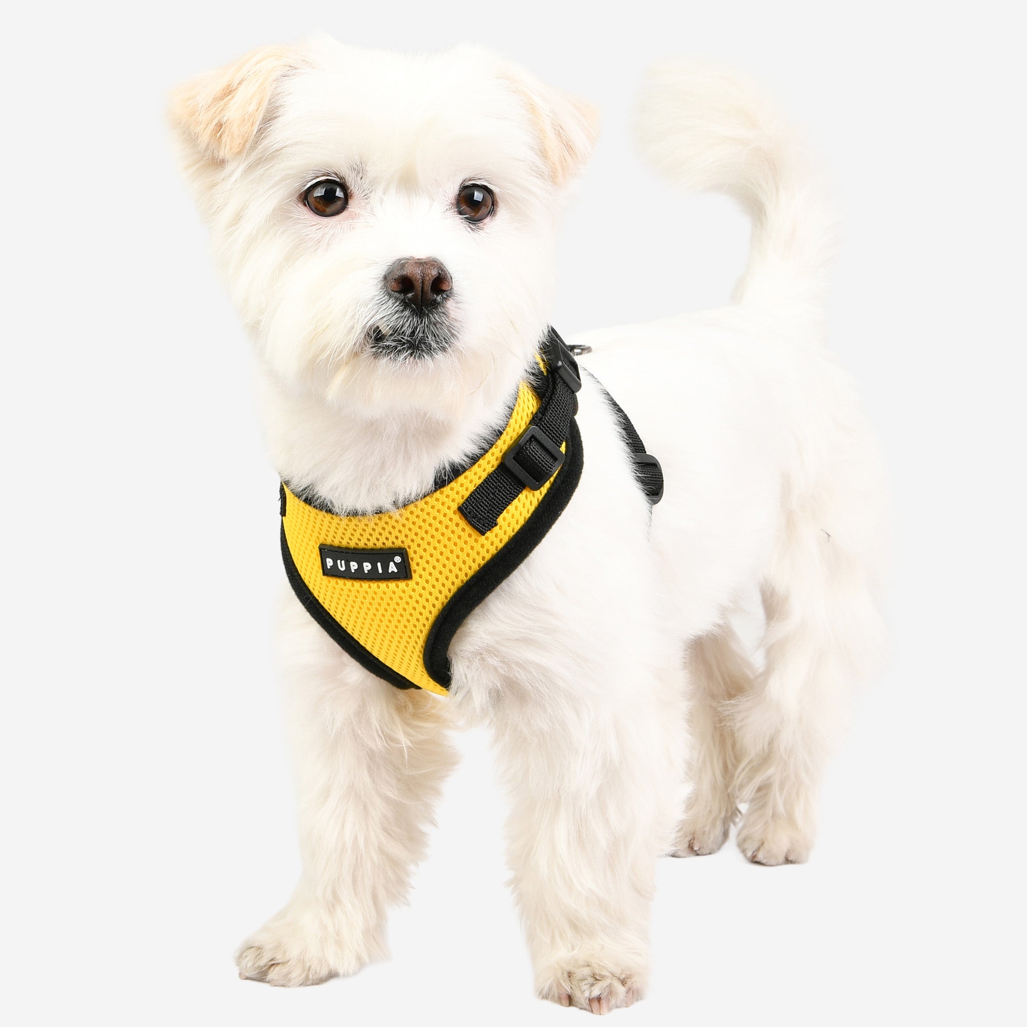 Ritefit Harness®