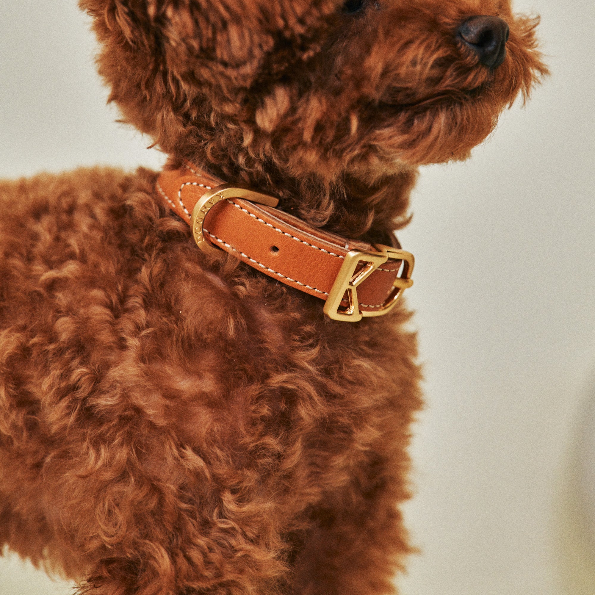 Roma Collar