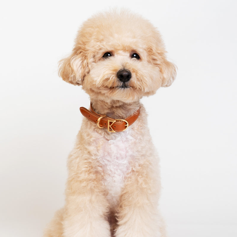 Roma Collar