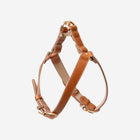 Roma Harness
