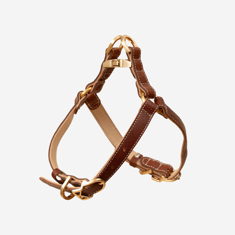 Roma Harness