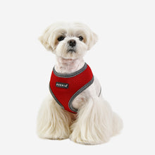 Two Tone Soft Harness
