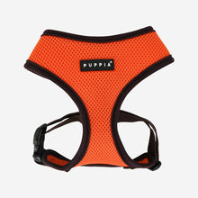 Two Tone Soft Harness