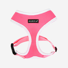 Two Tone Soft Harness