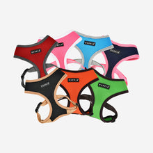 Two Tone Soft Harness