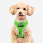 Soft Harness Pro