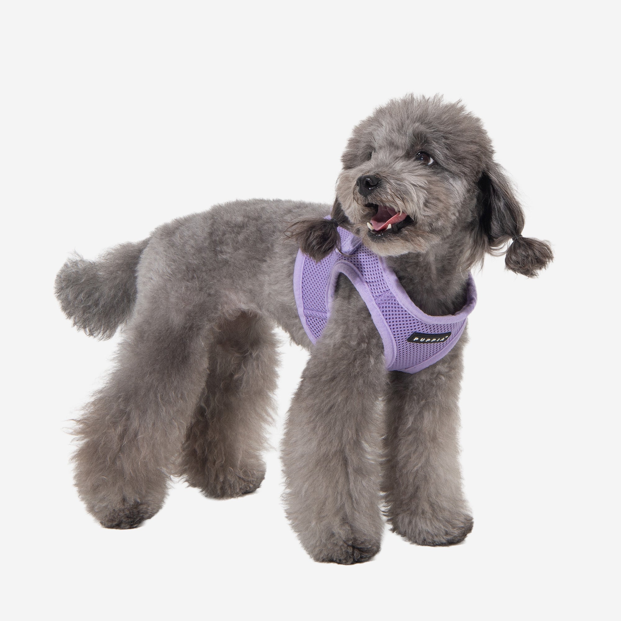 Soft Vest Harness