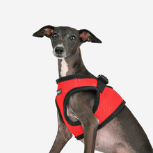 Soft Vest Harness