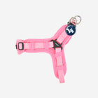 Flex Harness