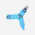 Flex Harness