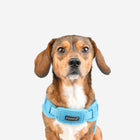 Flex Harness