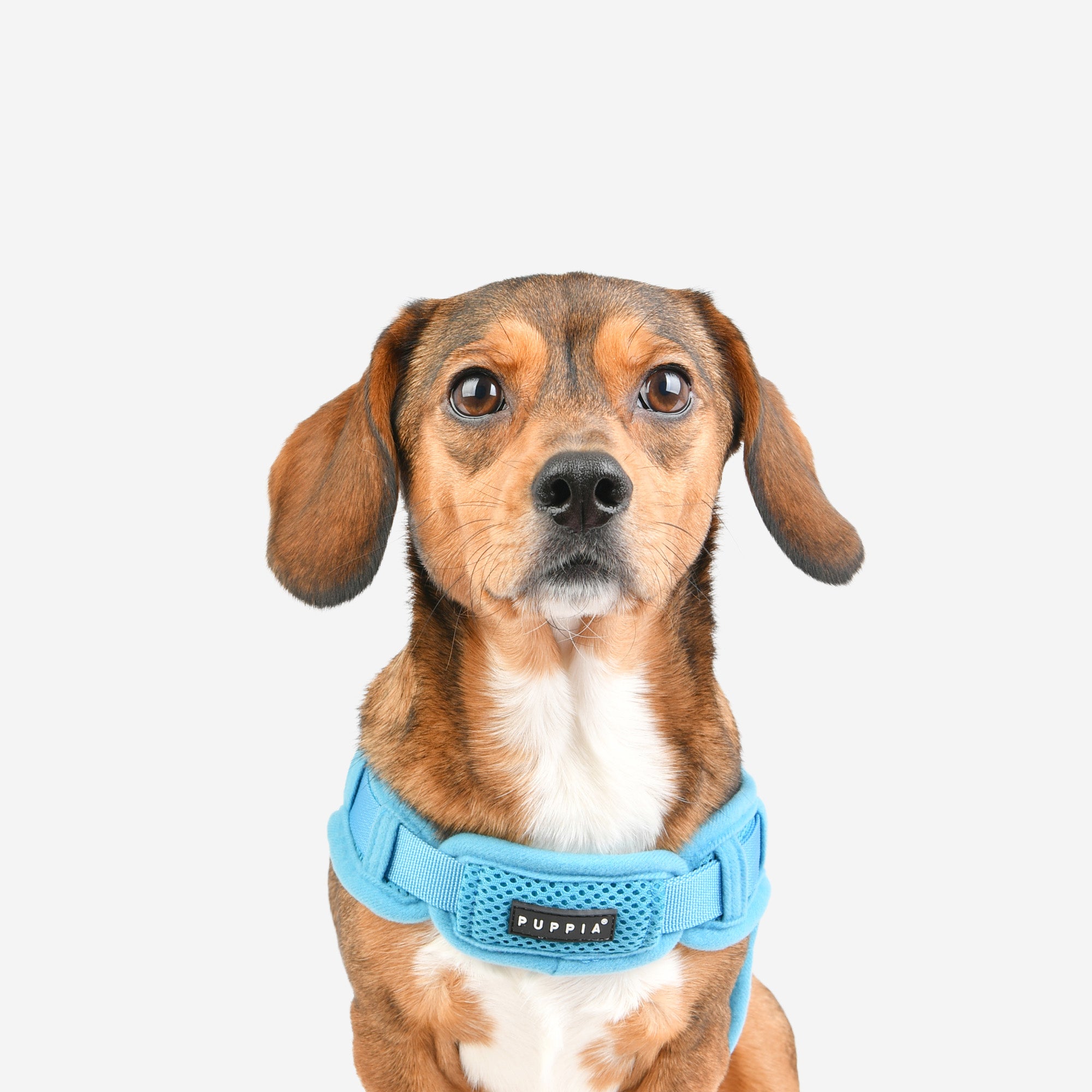 Flex Harness