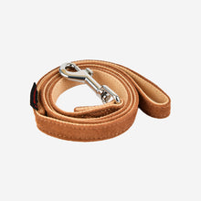 Terry Leash