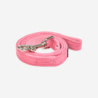 Terry Leash