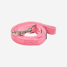 Terry Leash