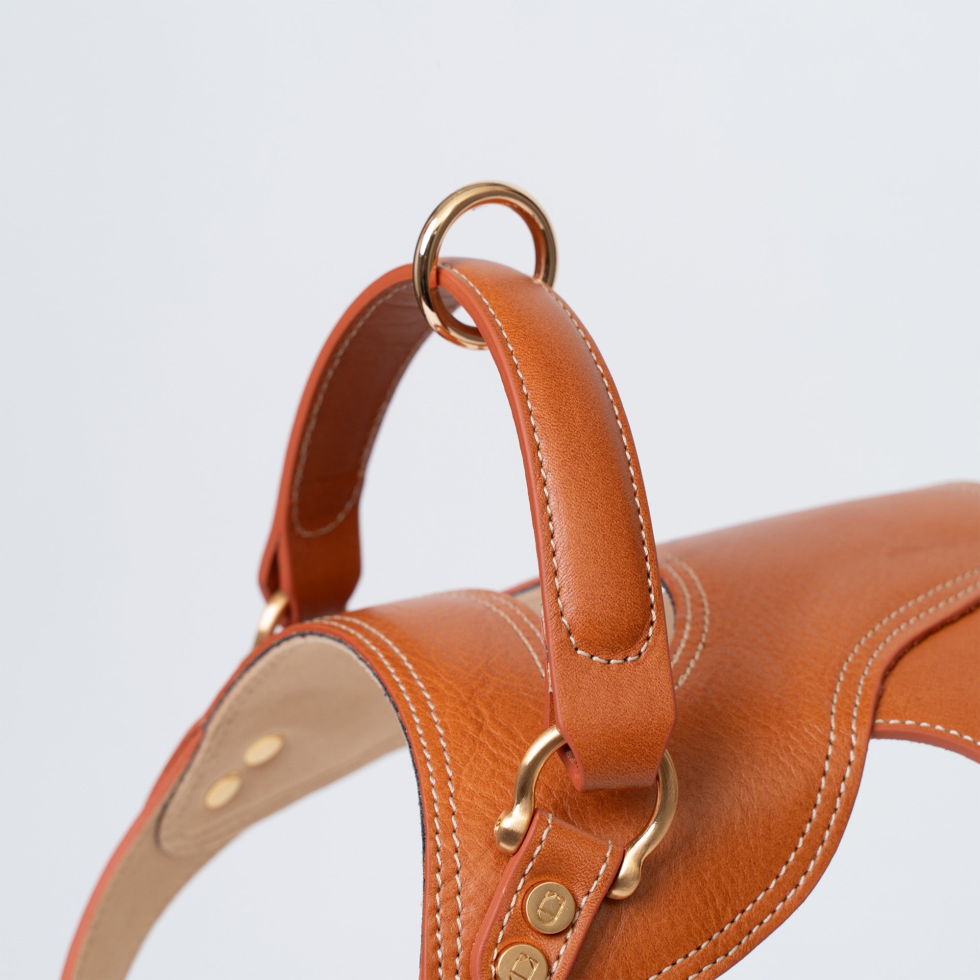 Toscana Harness