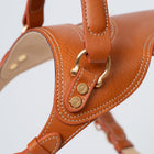 Toscana Harness
