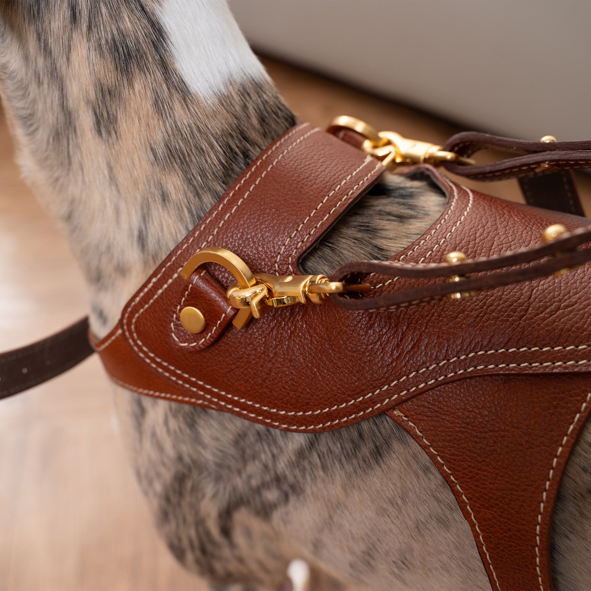 Toscana Harness