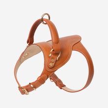 Toscana Harness