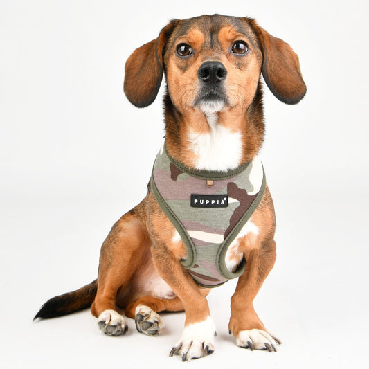 Puppia Lance Harness