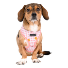 Puppia Baba Harness