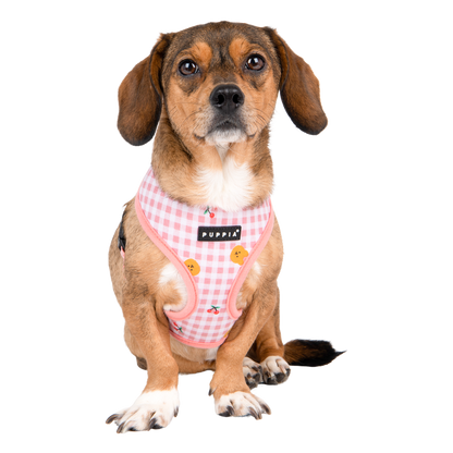 Puppia Baba Harness