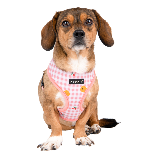 Puppia Baba Harness