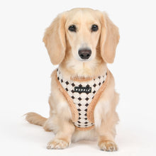 Puppia Jace Harness